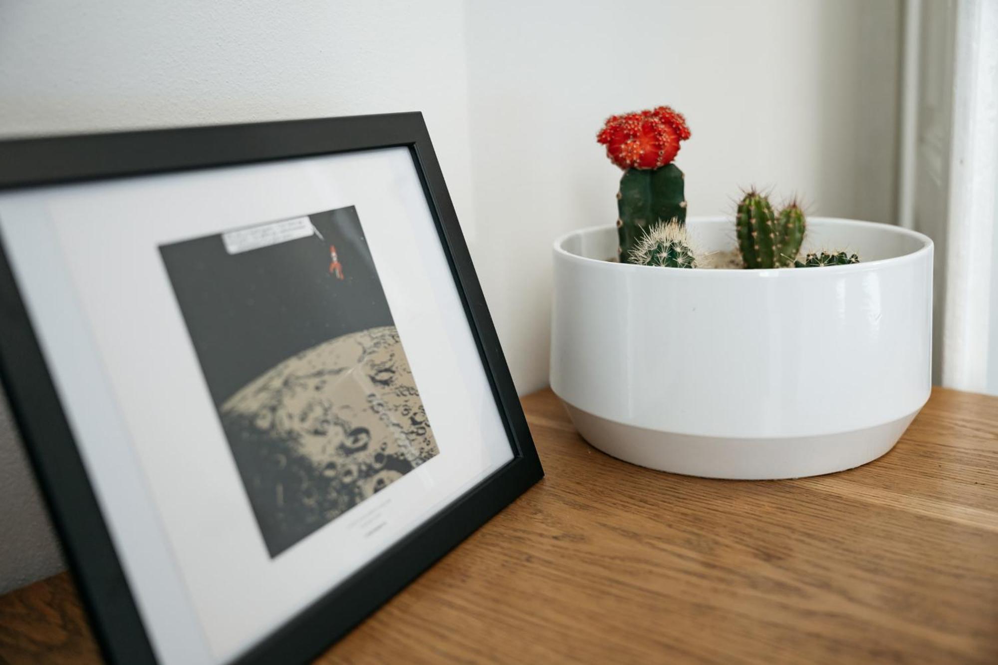 Comfortable And Cosy Apt A Few Steps From Dancing House And Naplavka Dance Prag Eksteriør billede